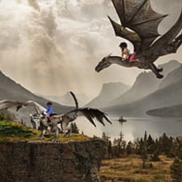 Follow Me... I Follow Back! - Picture 1 of 1